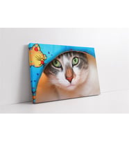 Kedi
