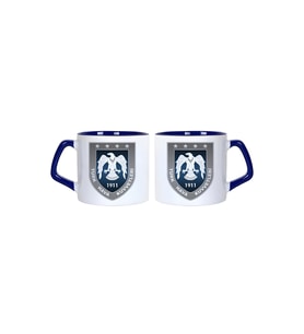 Ghostbastır Design Türk Hava Kuvvetleri Kupa Bardak Tek Adet 0530