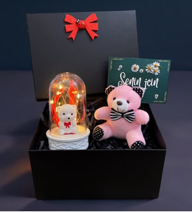 Siyah Hediye Kutusunda Pembe Peluş Ayıcık ve Led Işıklı Fanus Hediye Seti (Model 3)