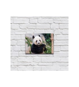 Bambu Yiyen Panda Ahşap Tablo