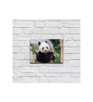 Bambu Yiyen Panda Ahşap Tablo
