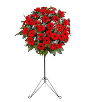 Kırmızı Gerbera ferforje