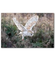 Cakapuzzle Çayırda Konmaya Hazırlanan Beyaz Baykuş Puzzle Yapboz MDF (Ahşap) (120 Parça)