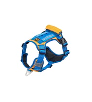 INTERLAKEN Köpek HARNESS Kosum Takimi Hafif Küçük ve Büyük Köpekler Uzanma Önleyici Gögüs Tasmasi MAVI&SARI S BEDEN