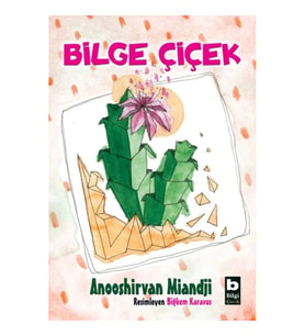 Bilge Çiçek