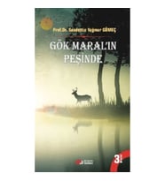 Maral'ın Peşinde