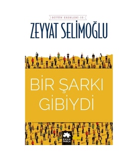 Bir Şarkı Gibiydi