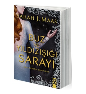 Buz Ve Yıldızışığı Sarayı - Sc