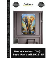 Özel Üretim Duvar Dekorasyonu Tablo Sanatsal Ev Aksesuarı Duvara Asmalı Yağlı Boya Pano Alk2925-25