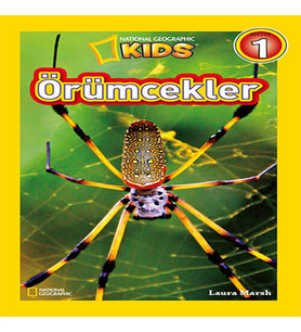 Kids - Örümcekler