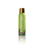 Nurxos Reyhan Erkek Deodorant 150 ML – Aromatik Parfüm Spreyi - 9371