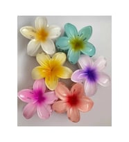 RENGARENK LOTUS ÇİÇEĞİ MANDAL TOKA 6'Lı (Pembe)