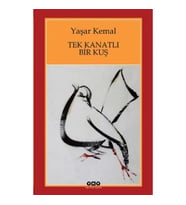 Tek Kanatlı Bir Kuş