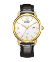 Citizen Eco-Drive BM6756-01A Erkek Kol Saati