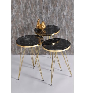 Zigon Sehpa Gold Bendir Tel