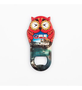 Şili Temalı Baykuş Magnet Kapak Açacak (Karışık)