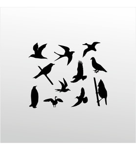 Folyo Sticker Kuş Serisi 40cm Uzunluk (Karışık)
