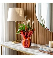 Buket Kağıtlı Saksılı Spatifilyum