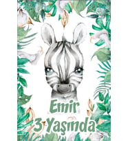 Zebra Temalı Doğum Günü Afişi -2 35X50 cm