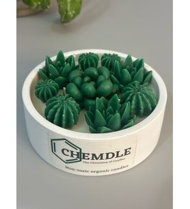 Yasemin Kokulu Terrarium Mum