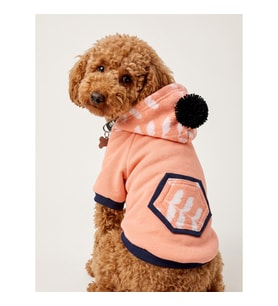 Peachy Pink Köpekler için Polar Sweatshirt