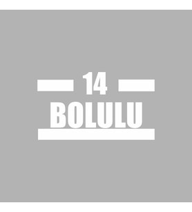 14 Bolulu Araba Sticker siyah 16x9 CM (Beyaz)