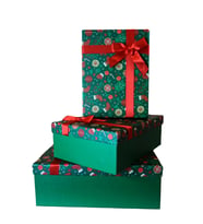 Kolix 3'lü Yılbaşı Temalı Dekoratif Fiyonklu Hediye Kutusu Yeşil 35x25x13 Cm Büyük Boy