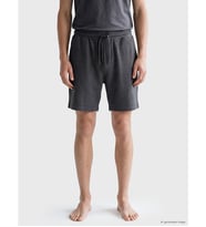 LC WAIKIKI Gri Slim Fit Erkek Şort