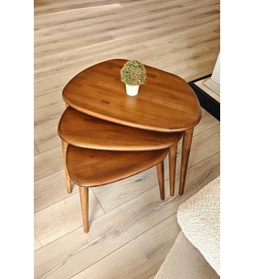 Fawdecor Amorphous 3'lü Zigon Sehpa Seti