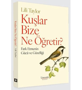 Kuşlar Bize Ne Öğretir?