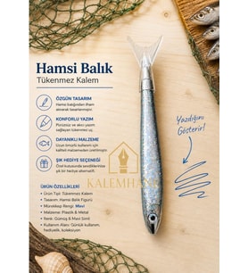 Hamsi Model Tükenmez Kalem Kutulu