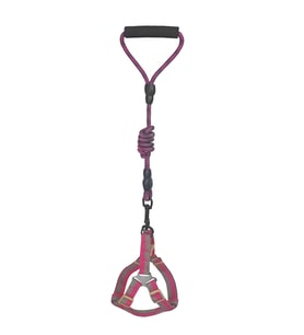 Köpek Göğüs Tasma Seti Daa Desenli 2 cm*40-58 cm Mor-Pembe