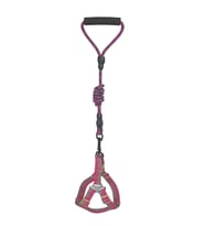 Köpek Göğüs Tasma Seti Daa Desenli 2 cm*40-58 cm Mor-Pembe