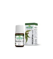 Okaliptus Yağı 20 Ml