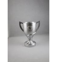 Ziraat Türkiye Kupası 20 Cm