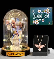 Premium Hediye Seti - Sizlere Özel Led Işıklı Fanus ve Zümrüdü Anka Kuşu Kolyesi (Model 2)