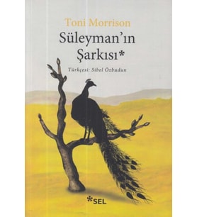 Süleyman’ın Şarkısı