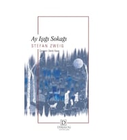 Ay Işığı Sokağı (Cep Boy)