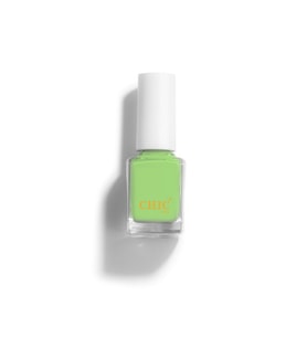 Chic Nail Açık Yeşil Oje Moss 113