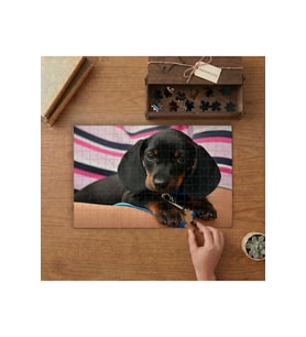 Sevimli Yavru Köpek Tasarımı 240 parça Ahşap Puzzle Ahşap Kutuda MP04408