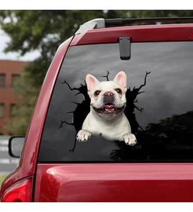 Araba Arka Cam Pitbull Sticker Yapıştırma 17cm A3