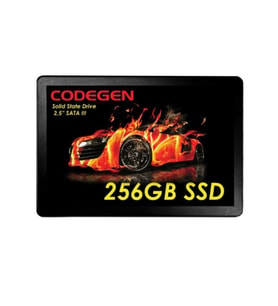CODEGEN 256GB CDG-256GB-SSD25 560- 500MB/s SSD SATA-3 Disk