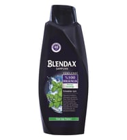 Blendax Erkek Mentollü Şampuan 550 ml
