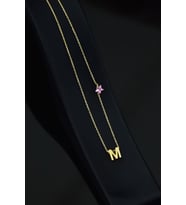 925 Ayar Gümüş Gold Kaplama Zirkon Taşlı Pembe Yıldız Sallantılı Harf Kolye