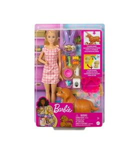 Barbie ve Yeni Doğan Köpekler Oyun Seti, Barbie ve Hayvanları