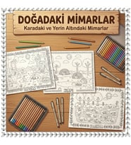 Çocuk Boyama Kitabı Hayvan Yuvaları Boyama Kitabı Eğitici Çocuk Aktivite Kitabı A4 10 Sayfa Doğadaki Mimarlar Seri 2