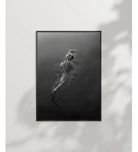 1. Suda Yüzen Timsah Poster