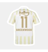 Greenwood-11 Fênerbâhçe 26-27 Yeni Sezon Yetişkin Futbol Forması