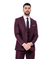 Desensiz Slim Fit Bordo Erkek Takım Elbise - Wessi