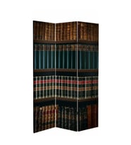 Bookshel Library 3 Kanatlı Oda Bölücü Çift Taraflı Kanvas Paravan